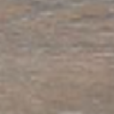 Silvered Oak